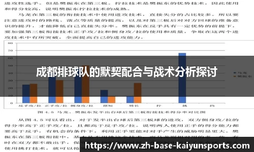 成都排球队的默契配合与战术分析探讨